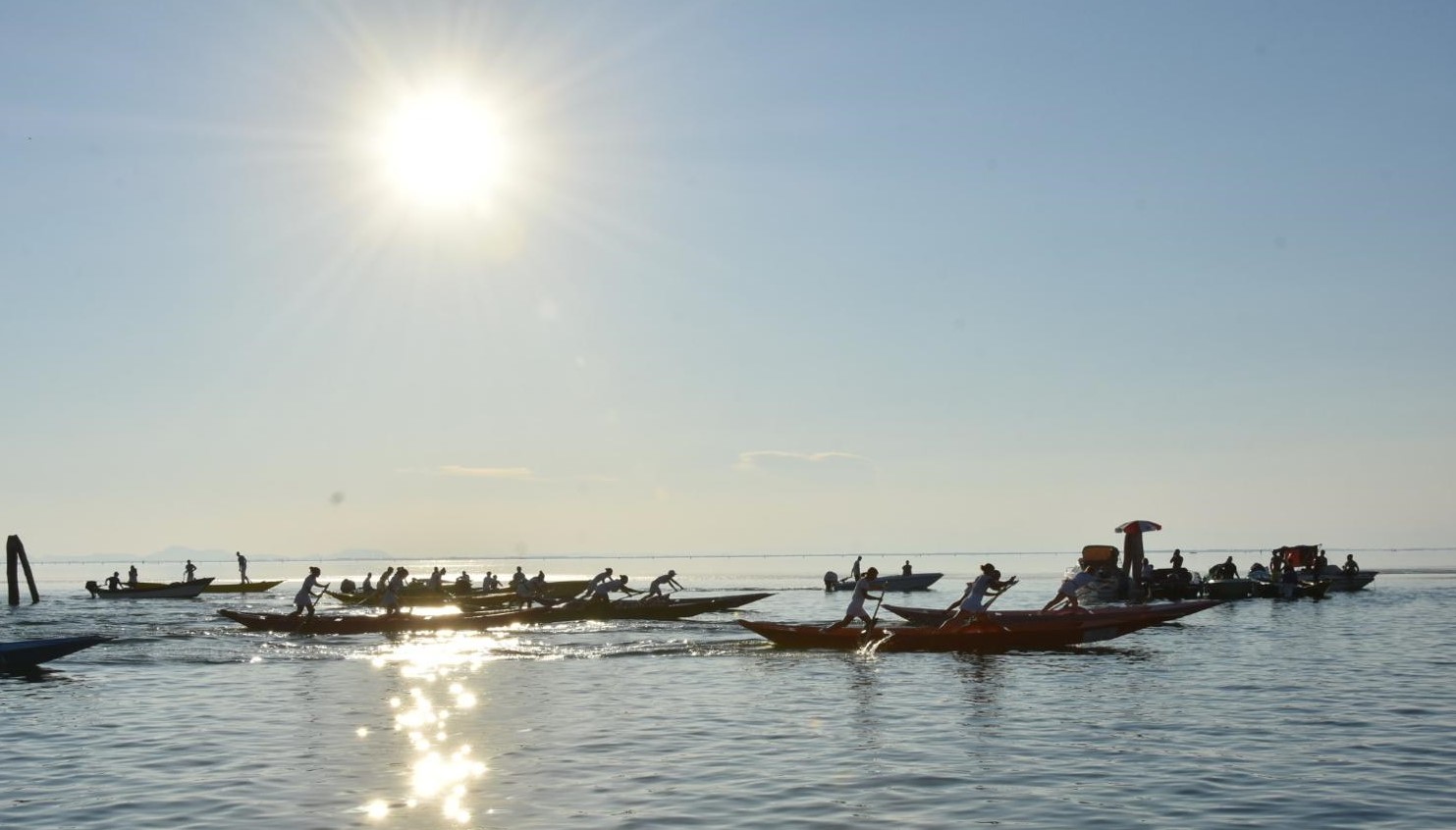 Venezia – Pellestrina: “Portosecco 2025” regata dei giovanissimi vogatori alla veneta